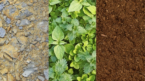 Different soil types.