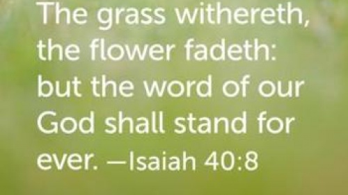 The grass withers, the flower fades: but the word of our God shall stand forever