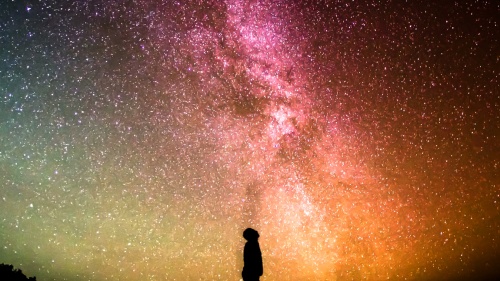 A person looking up at the millions of stars filling the night sky.