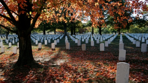 gravestones