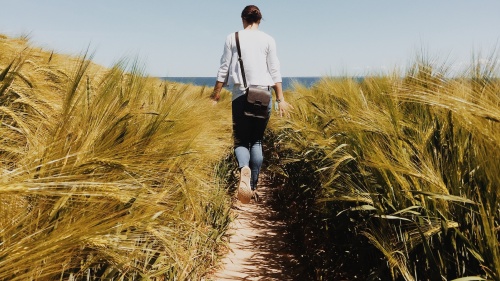 A woman walking on a path with tall grass around her.