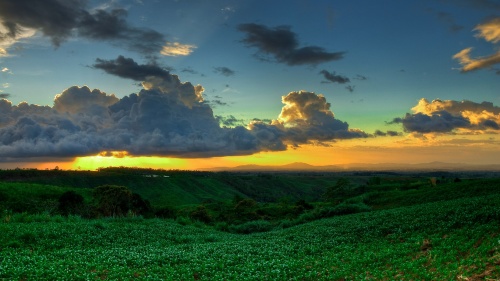 Bukidnon