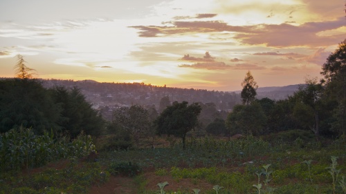 African gardens