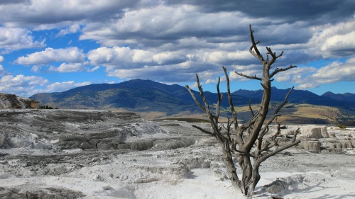 A photo of desolate landscape in Yellowstone