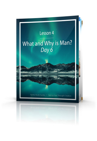 Seeing God Through Creation: What and Why is Man? Day 6