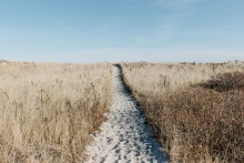 A sandy path.