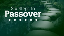 Six Steps to Passover