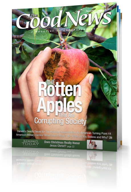 ROTTEN APPLE definition in American English