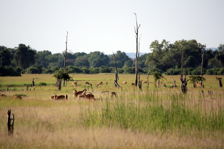 Mufulira, Zambia