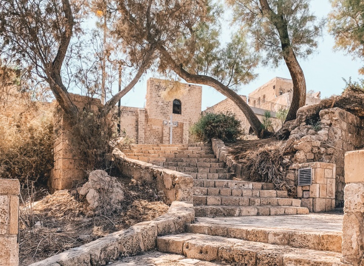 A scene with stone stairs leading to a historic building amidst trees