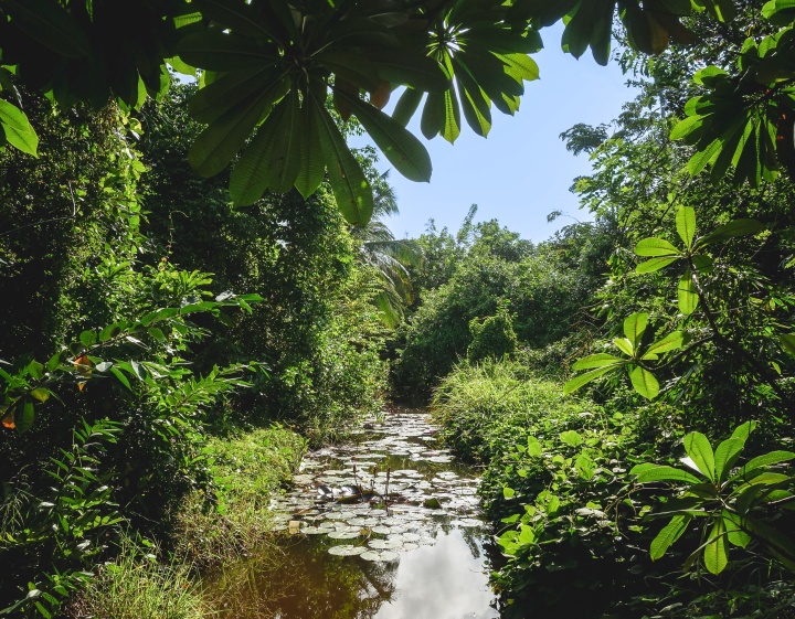 Habarana Village, Sri Lanka