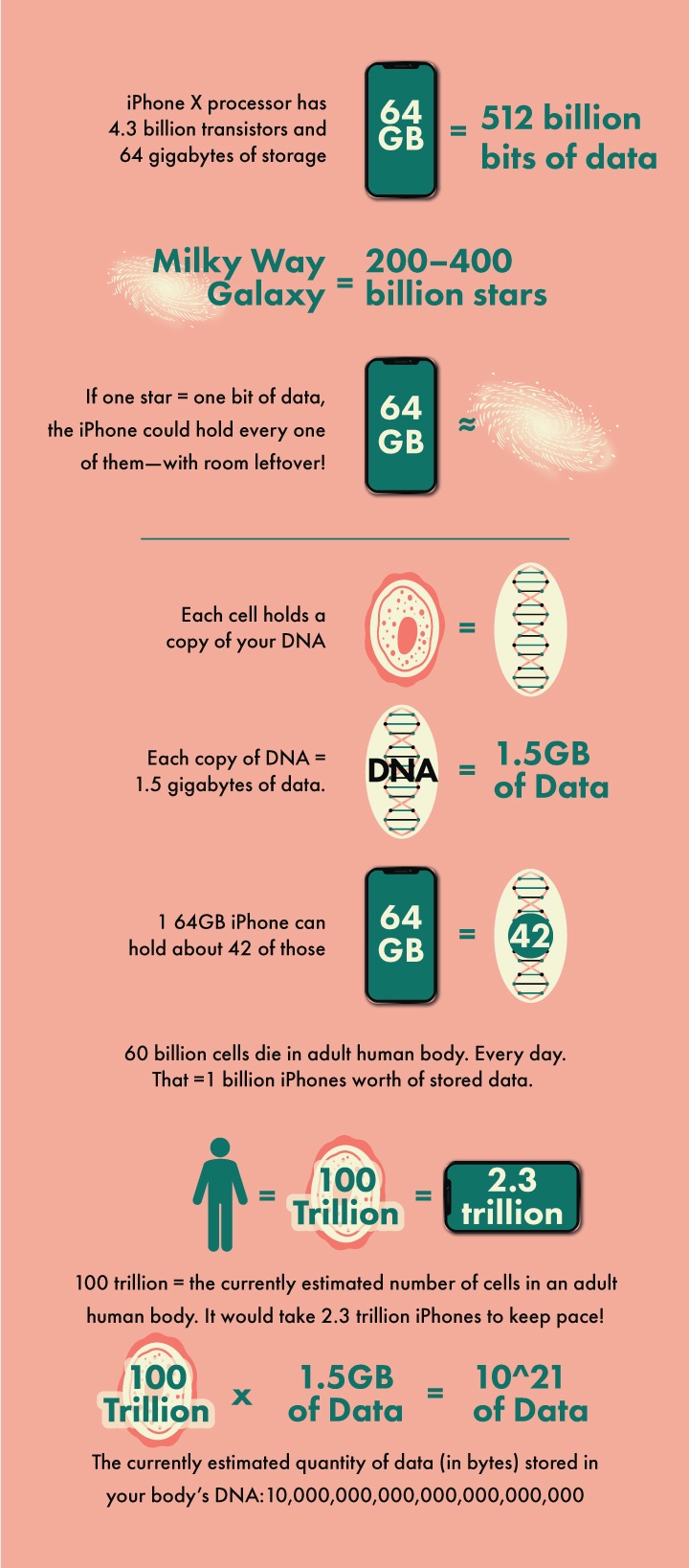 iHuman Infographic for Compass Check