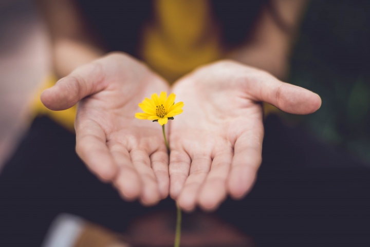 Woman holding yellow petaled flower