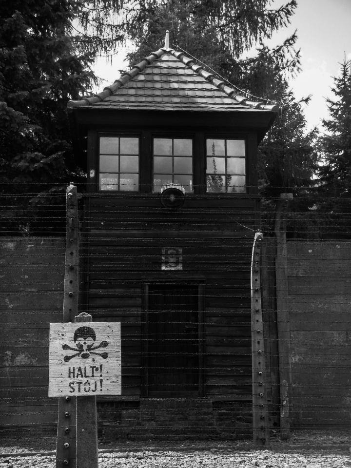 Scene from World War II concentration camps