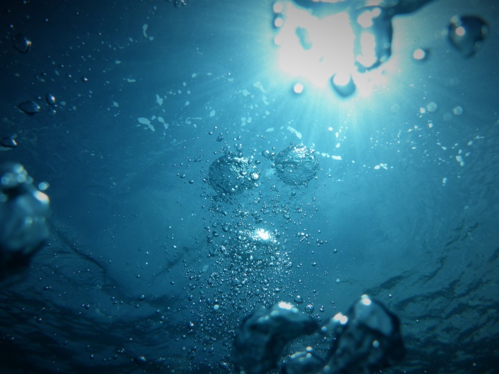 a view from underwater looking up towards the surface where sunlight hits the water, highlighting the bubbles underwater