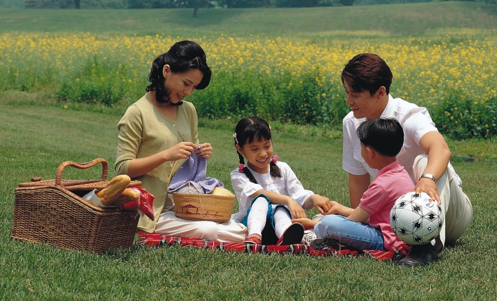 A family having a picnic in a field. 