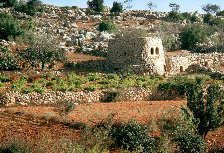 An old watchtower.