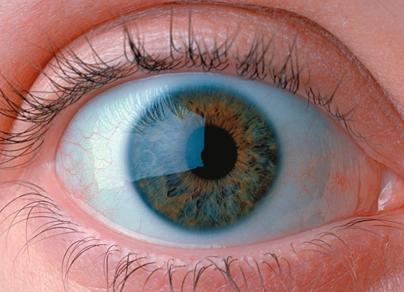 Close up of a human eye.