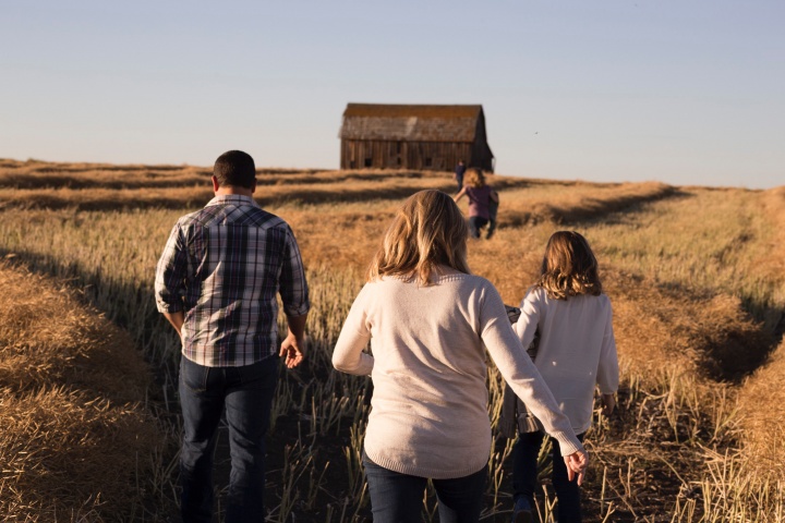 A family walking in a wheat field towards an old barn.