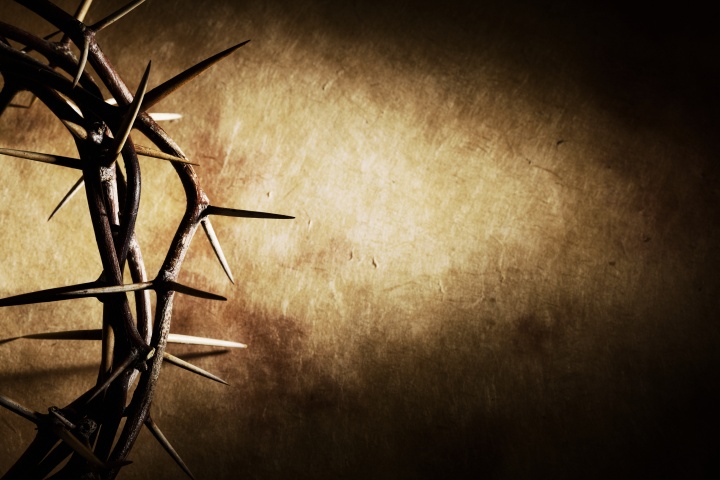 Crown of thorns.