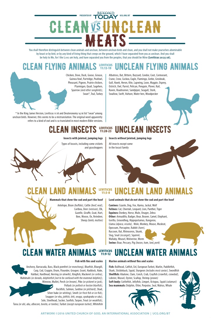 Infographic Clean vs. Unclean Meats