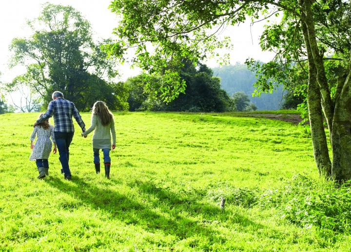 A family walking in a green pasture.