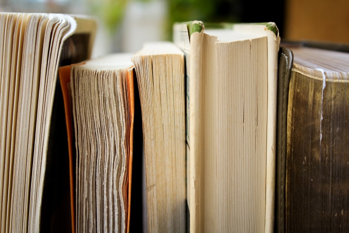 The paper edges of books on a shelf.