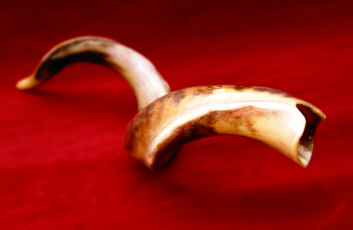 A shofar - ram's horn.