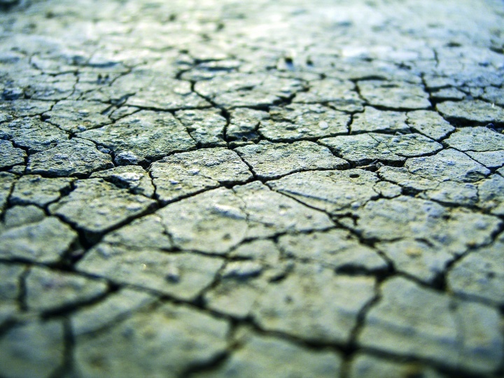 Dried cracked ground. 