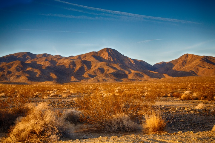 A plains desert with mountains in the background.