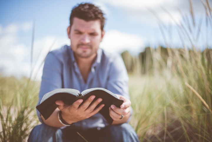 A man reading a Bible in a grassy field.