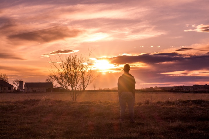 A man standing in a pasture looking at the setting sun.