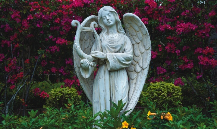 A statue of an angel in a garden