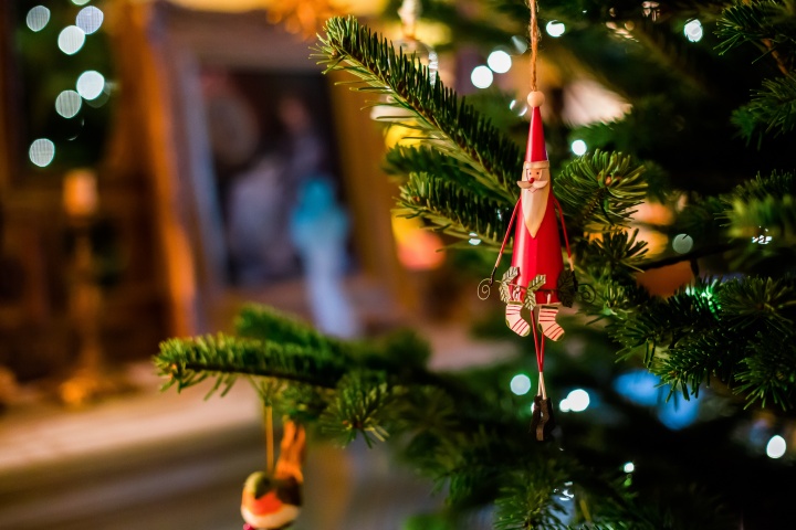 Close up of a Christmas tree with Santa Claus ornament hanging on a limb.
