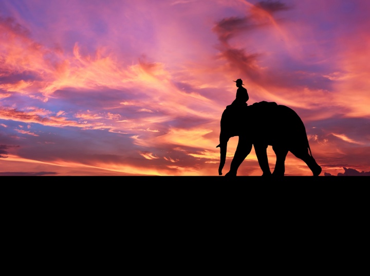 Silhouette against beautiful sunset of a boy riding an elephant