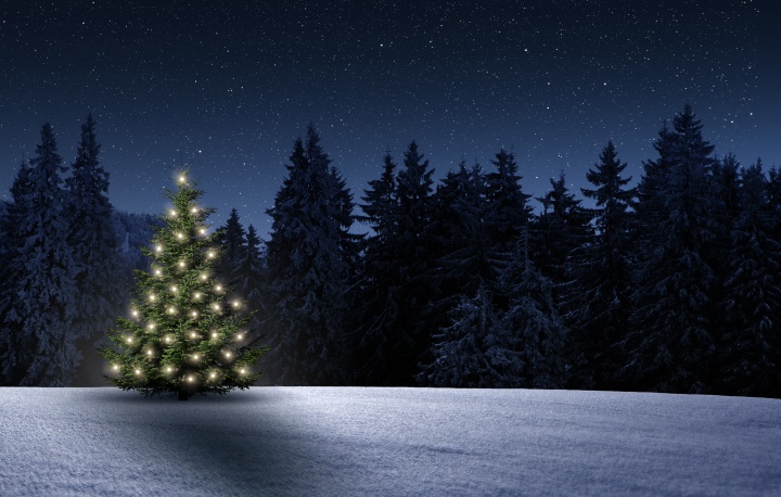 A christmas tree with lights in a snowfield.