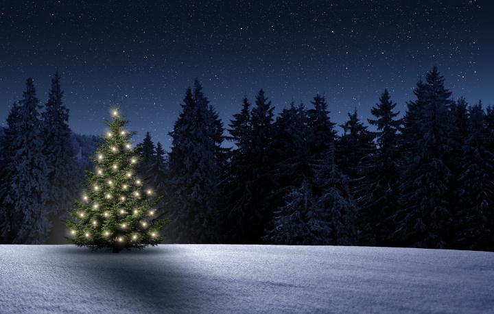 A christmas tree with lights in a snowfield. 