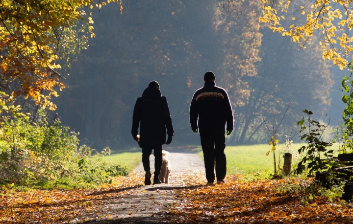 Two people walking on a path in the woods.