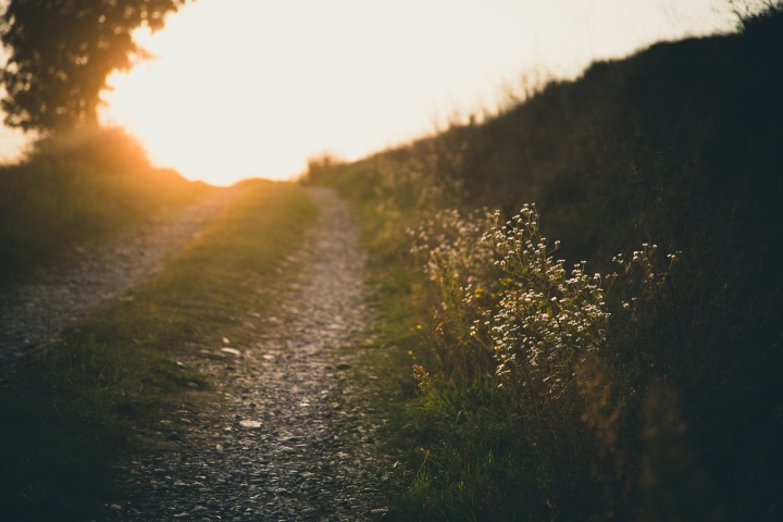 a path leading into a beautiful sunset