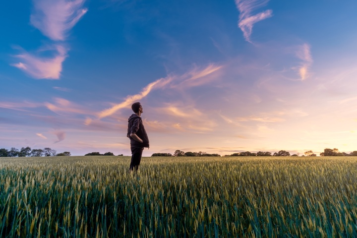 man in wheat field under gorgeous sunset gradient sky looking contemplatively upwards