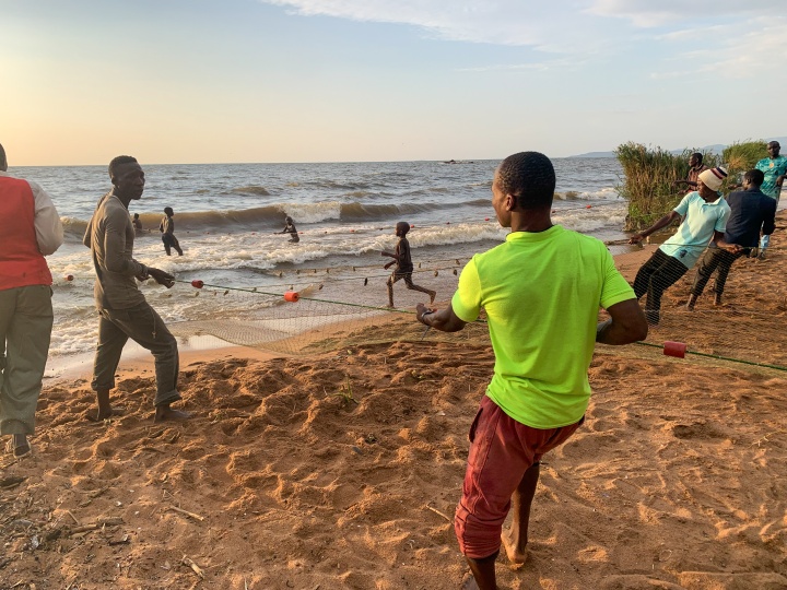 men pulling a fishing net