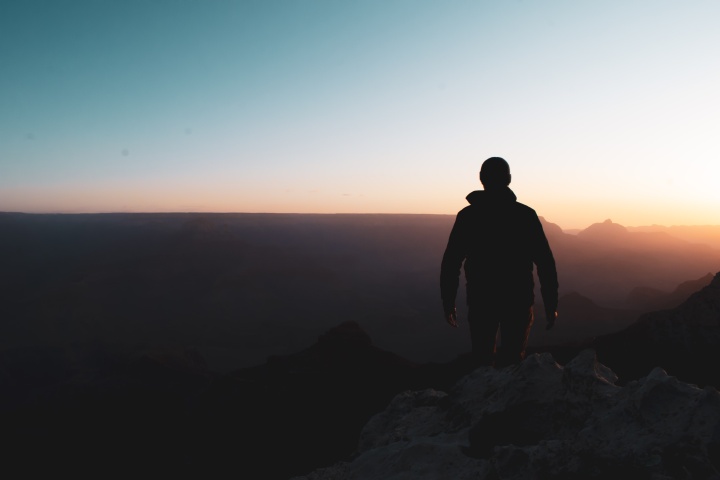 A person standing at the top of the Grand Canyon.