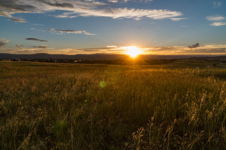 A sunset over a field.