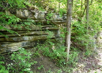 A limestone outcropping in Eastern Tennessee.