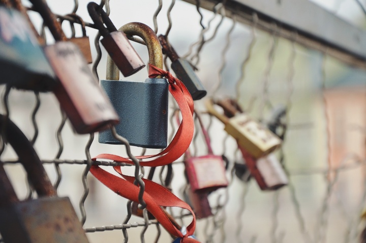 Several padlocks locked on a chain link fence.