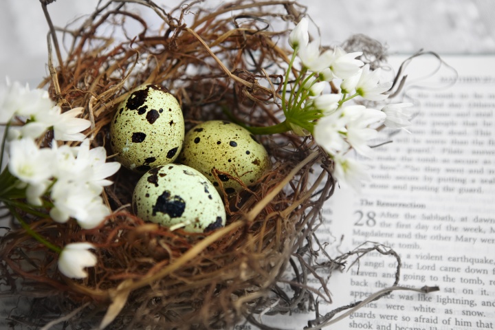 A nest of spotted Easter eggs on top of an open Bible.