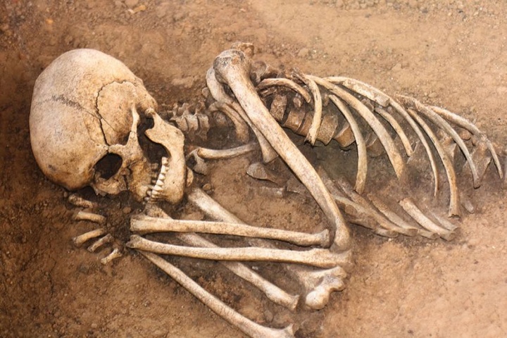 The remains of human bones in a dirt grave.