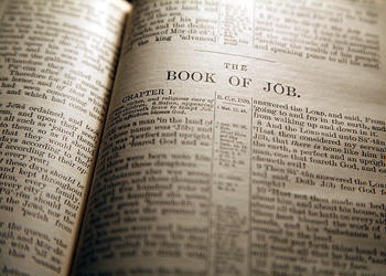 The Book of Job