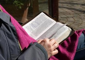 A person reading the Bible.