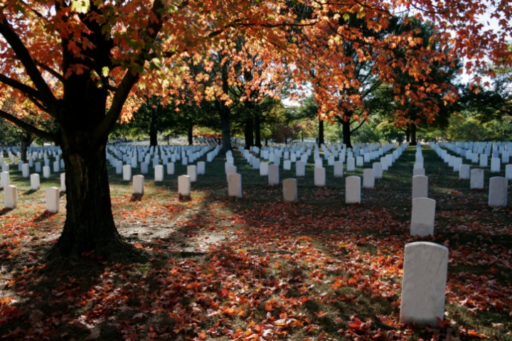 gravestones